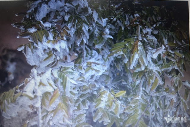 Tin sáng 21/11: Đường sắt tạm ngừng chạy do mưa lũ, đổi trả vé online miễn phí thế nào?; Miền Bắc có thể xuất hiện sương muối, Nam Trung Bộ còn mưa - Ảnh 2.