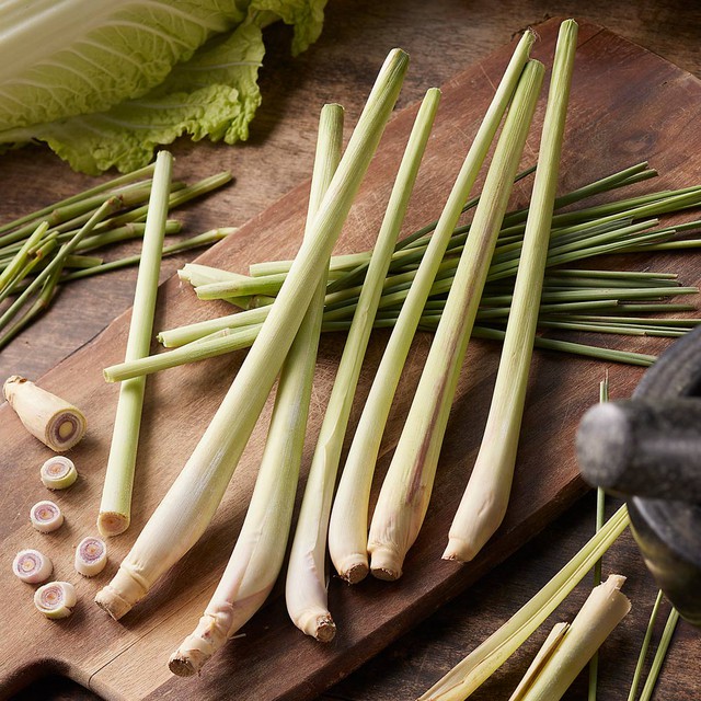 Các lọai cây trồng đuổi chuột hiệu quả cho không gian sống thêm an toàn - Ảnh 2.