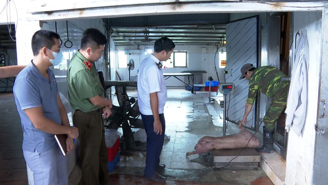 Tuồn lợn bệnh ra thị trường chủ cơ sở chăn nuôi ở Hưng Yên bị khởi tố - Ảnh 3.