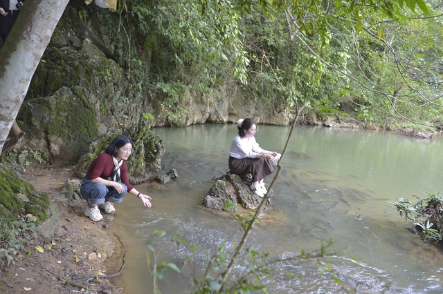 Khám phá bí ẩn hang cá thần Văn Nho và hiện tượng cá thay đổi màu da theo thời tiết - Ảnh 3.