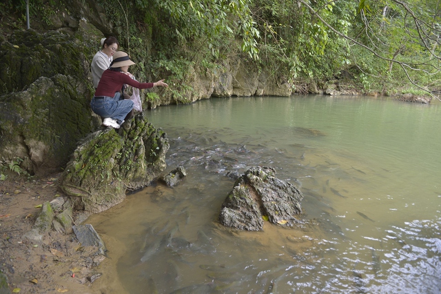Khám phá bí ẩn hang cá thần Văn Nho và hiện tượng cá thay đổi màu da theo thời tiết - Ảnh 7.