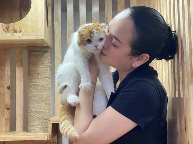 Mèo Anh lông ngắn – 'bé bánh bao' đang chiếm trái tim người trẻ Sài Gòn - Ảnh 2.
