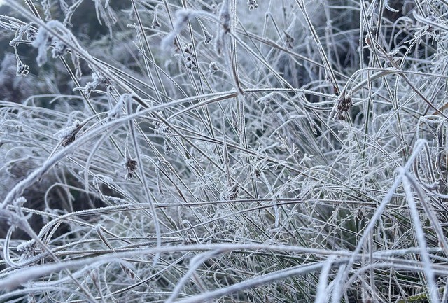 Đạt ngưỡng đỉnh điểm của nhiệt độ thấp nhất, băng giá phủ trắng cây vùng núi cao Y Tý - Ảnh 4.