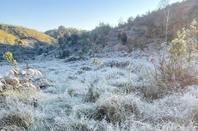 Đạt ngưỡng đỉnh điểm của nhiệt độ thấp nhất, băng giá phủ trắng cây vùng núi cao Y Tý - Ảnh 2.