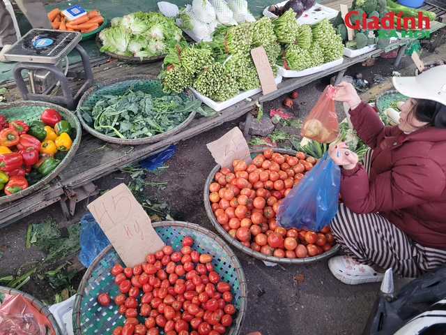 Nghịch lý giá rau xanh Hà Nội đắt ngang tôm hùm , người tiêu dùng phải ' đo đếm ' - Ảnh 2. Nghịch lý giá rau xanh Hà Nội đắt ngang tôm hùm , người tiêu dùng phải ' đo đếm ' - Ảnh 2.