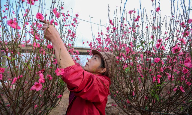 Cảnh báo ô nhiễm không khí gia tăng ở Bắc Bộ những ngày tới - Ảnh 5. Cảnh báo ô nhiễm không khí gia tăng ở Bắc Bộ những ngày tới - Ảnh 5.