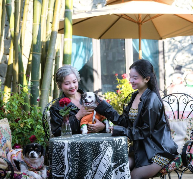 NSND Thu Quế khoe sắc bên hoa dã quỳ ở Hà Nội  - Ảnh 7.