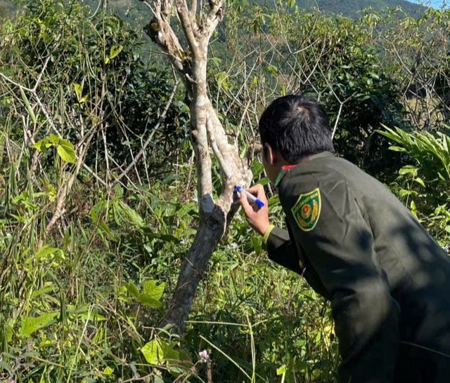 Thái Nguyên: Công trình vi phạm xâm lấn khu bảo tồn chè Shan Tuyết gây lo ngại môi trường - Ảnh 3.