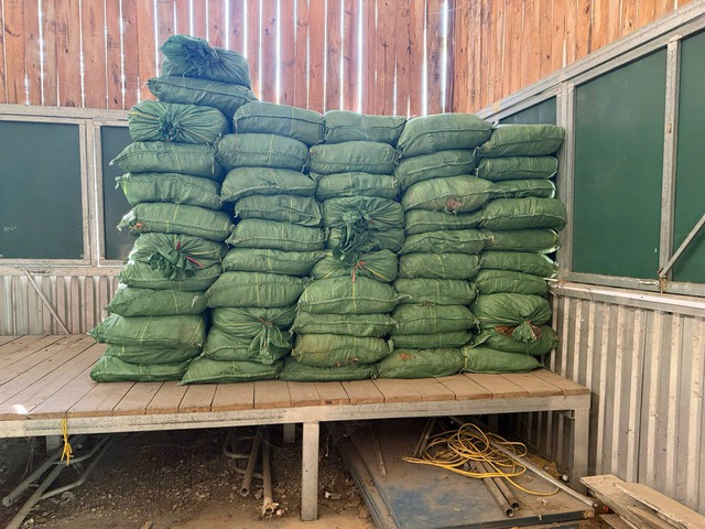 Phát hiện 2,4 tấn nguyên liệu thuốc lá không rõ nguồn gốc tại Cao Bằng - Ảnh 1. Phát hiện 2,4 tấn nguyên liệu thuốc lá không rõ nguồn gốc tại Cao Bằng - Ảnh 1.