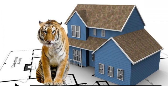 Hướng nhà xấu ảnh hưởng đến tuổi Giáp Dần ra sao, cách hóa giải - Ảnh 1.