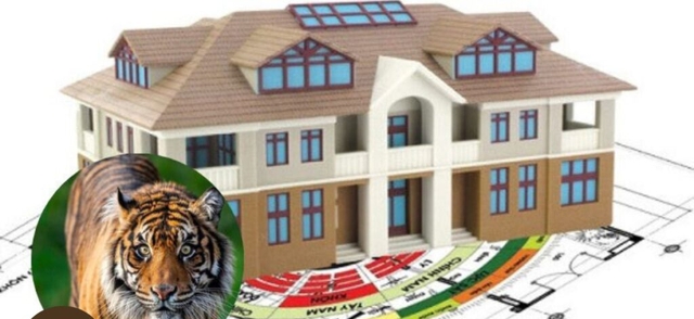 Hướng nhà xấu ảnh hưởng đến tuổi Giáp Dần ra sao, cách hóa giải - Ảnh 2.