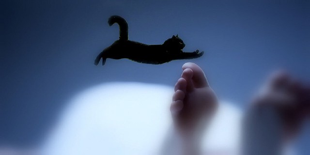 Những điều kiêng kỵ trong đám tang bạn nên biết - Ảnh 2.