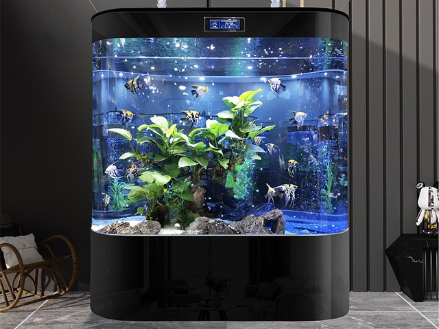 Vị trí tối kỵ không nên đặt bể cá phong thủy, tránh ảnh hưởng tới sức khỏe, vận khí của gia đình - Ảnh 3.