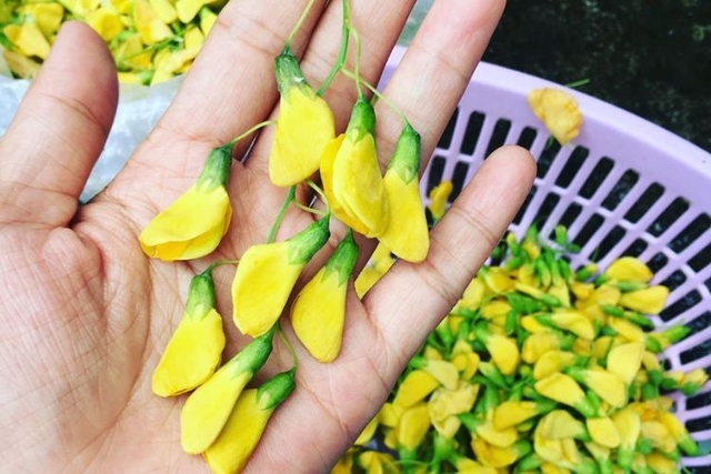 5 Món ngon từ bông điên điển giàu chất chống oxy hóa tốt cho sức khỏe - Ảnh 1. 5 Món ngon từ bông điên điển giàu chất chống oxy hóa tốt cho sức khỏe - Ảnh 1.