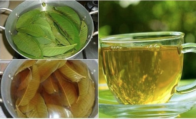 Bất ngờ nước lá ổi đun lên uống giúp giảm cân, kiểm soát đường huyết an toàn và hiệu quả - Ảnh 3. Bất ngờ nước lá ổi đun lên uống giúp giảm cân, kiểm soát đường huyết an toàn và hiệu quả - Ảnh 3.