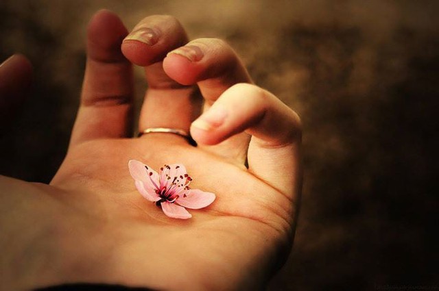 4 con giáp làm việc thiện được phúc báo, nhận được giàu có lẫn hạnh phúc trong 3 năm tới - Ảnh 2. 4 con giáp làm việc thiện được phúc báo, nhận được giàu có lẫn hạnh phúc trong 3 năm tới - Ảnh 2.