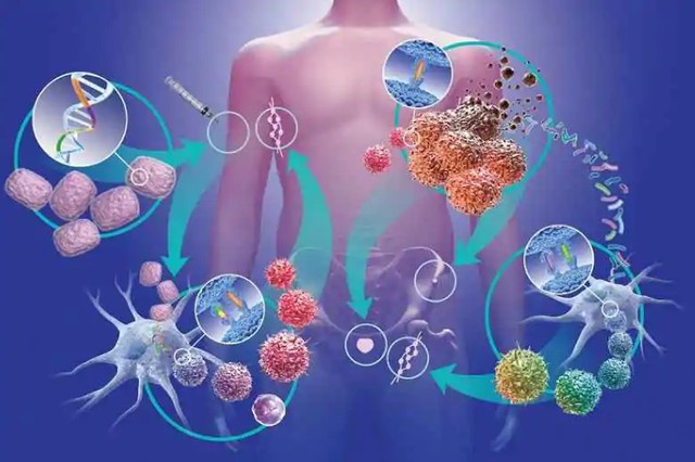 6 loại rau rẻ tiền, mùa đông người Việt nên ăn để ngăn ngừa tế bào ung thư - Ảnh 1. 6 loại rau rẻ tiền, mùa đông người Việt nên ăn để ngăn ngừa tế bào ung thư - Ảnh 1.