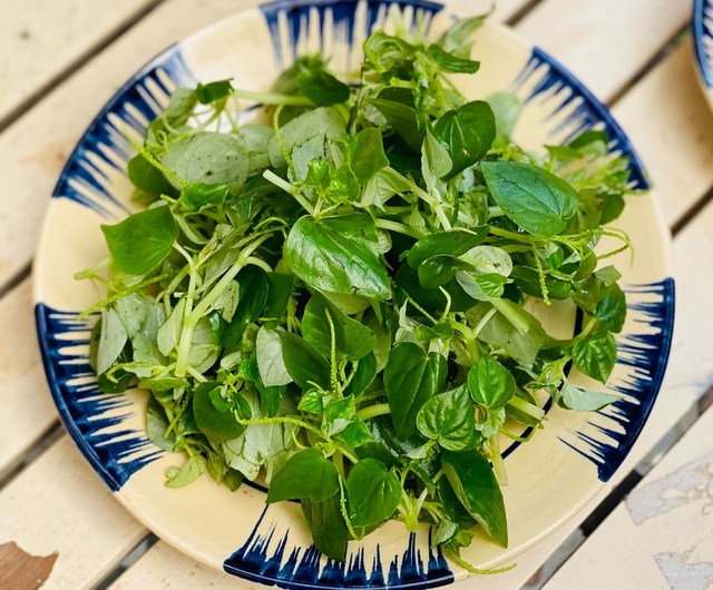 Loại rau mọc hoang nhưng đắt ngang thịt là “thực phẩm vàng” cho người bị gout và tiểu đường, làm ngay món này đơn giản mà bổ dưỡng - Ảnh 2. Loại rau mọc hoang nhưng đắt ngang thịt là “thực phẩm vàng” cho người bị gout và tiểu đường, làm ngay món này đơn giản mà bổ dưỡng - Ảnh 2.