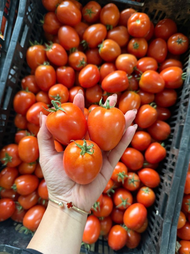 Loại quả trước chỉ vài nghìn đồng/kg, nay giá đắt đỏ ngang thịt khiến người mua hàng “choáng váng” - Ảnh 4. Loại quả trước chỉ vài nghìn đồng/kg, nay giá đắt đỏ ngang thịt khiến người mua hàng “choáng váng” - Ảnh 4.