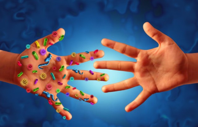 Chuyên gia Mỹ khuyên 8 thực phẩm nên ăn để giảm cholesterol, phòng bệnh tim mạch và ung thư hiệu quả - Ảnh 1. Chuyên gia Mỹ khuyên 8 thực phẩm nên ăn để giảm cholesterol, phòng bệnh tim mạch và ung thư hiệu quả - Ảnh 1.