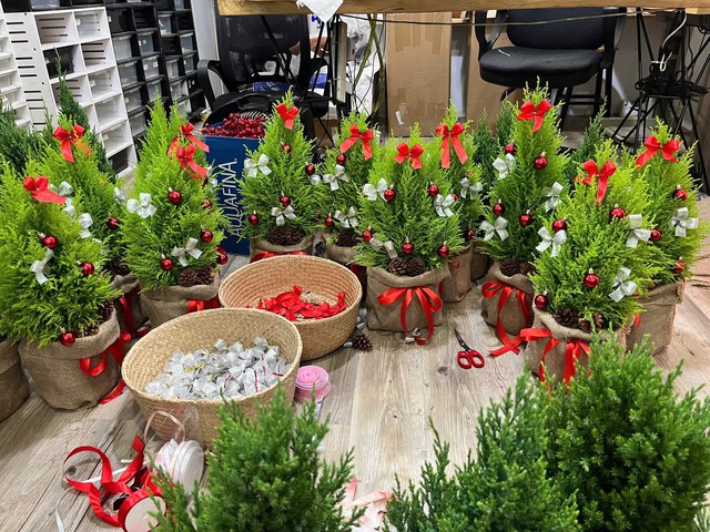 Cây thông, tùng mini giá rẻ được các chị em “săn đón” trang trí dịp Giáng sinh 2025 - Ảnh 5. Cây thông, tùng mini giá rẻ được các chị em “săn đón” trang trí dịp Giáng sinh 2025 - Ảnh 5.