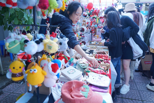 Rực rỡ sắc màu Giáng sinh châu Âu giữa lòng Hà Nội - Ảnh 6.