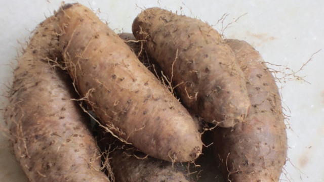 Ăn loại củ này hỗ trợ chữa viêm đường hô hấp - Ảnh 3. Ăn loại củ này hỗ trợ chữa viêm đường hô hấp - Ảnh 3.