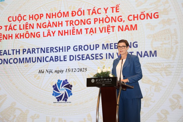 Việt Nam đẩy mạnh ứng phó với bệnh không lây nhiễm - Ảnh 3. Việt Nam đẩy mạnh ứng phó với bệnh không lây nhiễm - Ảnh 3.