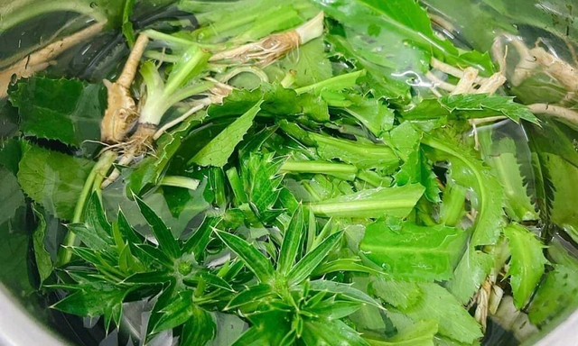 Loại rau rẻ tiền, mùa đông người Việt nên ăn để 'quét sạch mỡ máu', ngăn ngừa bệnh mạn tính - Ảnh 6. Loại rau rẻ tiền, mùa đông người Việt nên ăn để 'quét sạch mỡ máu', ngăn ngừa bệnh mạn tính - Ảnh 6.