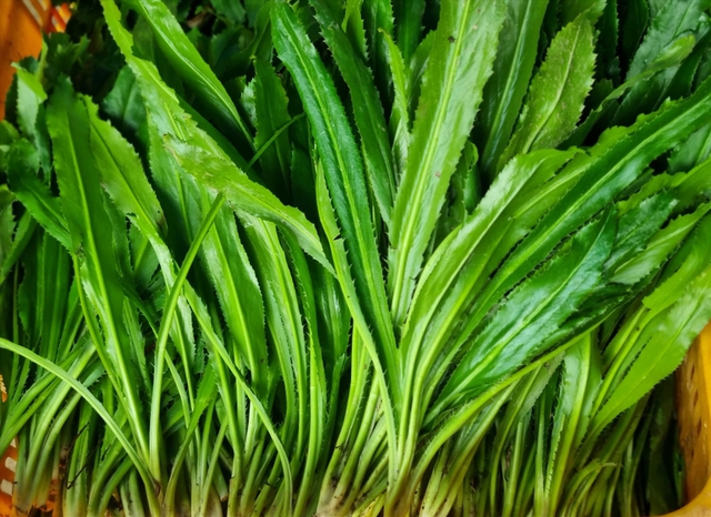 Loại rau rẻ tiền, mùa đông người Việt nên ăn để 'quét sạch mỡ máu', ngăn ngừa bệnh mạn tính - Ảnh 4. Loại rau rẻ tiền, mùa đông người Việt nên ăn để 'quét sạch mỡ máu', ngăn ngừa bệnh mạn tính - Ảnh 4.