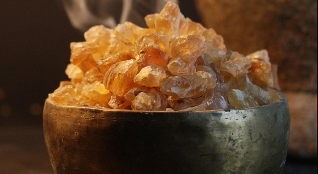 Mủ tr&ocirc;m - thần dược thải độc gan v&agrave; m&oacute;n giải kh&aacute;t hấp dẫn m&ugrave;a h&egrave; - Ảnh 1.