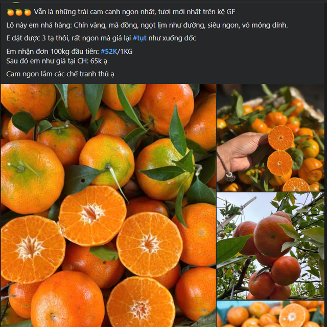 Một loại quả giúp tăng sức đề kháng đang vào mùa, bán đầy chợ Việt giá chỉ bằng cốc trà sữa - Ảnh 2. Một loại quả giúp tăng sức đề kháng đang vào mùa, bán đầy chợ Việt giá chỉ bằng cốc trà sữa - Ảnh 2.