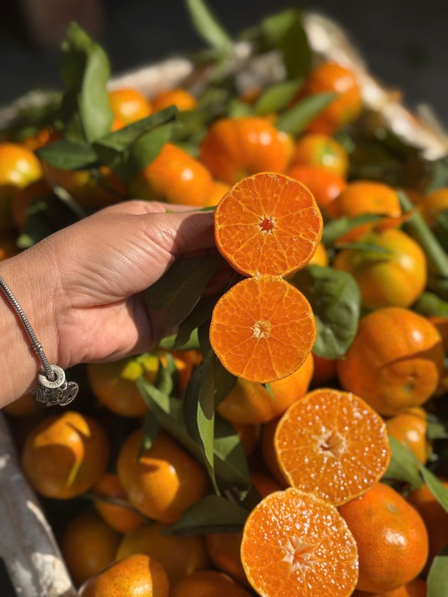 Một loại quả giúp tăng sức đề kháng đang vào mùa, bán đầy chợ Việt giá chỉ bằng cốc trà sữa - Ảnh 3. Một loại quả giúp tăng sức đề kháng đang vào mùa, bán đầy chợ Việt giá chỉ bằng cốc trà sữa - Ảnh 3.