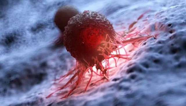 Tế b&agrave;o ung thư h&igrave;nh th&agrave;nh như thế n&agrave;o v&agrave; c&aacute;ch cơ thể chống lại ch&uacute;ng - Ảnh 3.