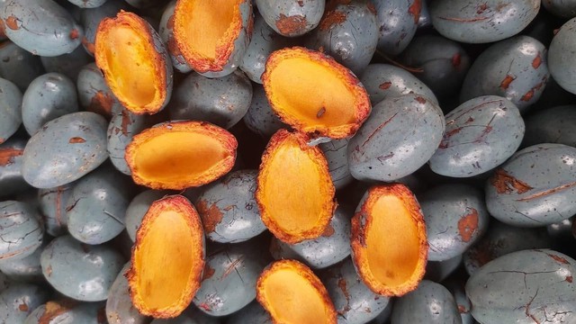 Gi&aacute; b&aacute;n quả cọ T&acirc;y Bắc tăng cao , người ti&ecirc;u d&ugrave;ng n&ecirc;n biết - Ảnh 2.