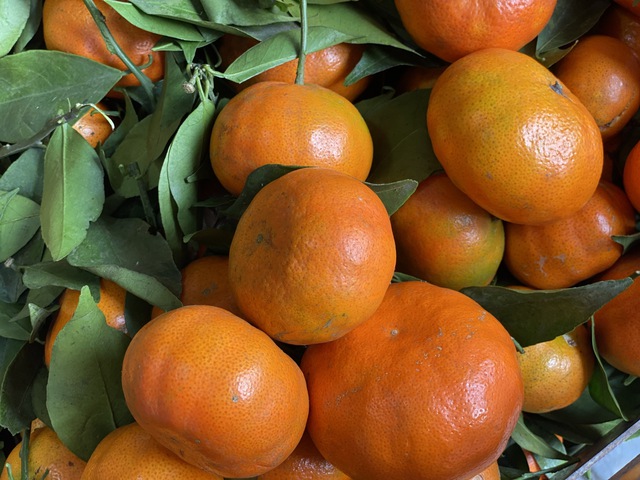 Tiểu thương chia sẻ nguồn gốc thực sự của một loại cam đang b&aacute;n tr&agrave;n ngập chợ Việt - Ảnh 3.