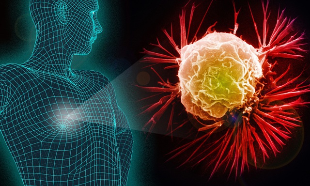 Tế b&agrave;o ung thư 'th&iacute;ch' g&igrave; nhất? 4 nh&oacute;m thực phẩm được nghi&ecirc;n cứu c&oacute; lợi trong việc giảm nguy cơ ung thư - Ảnh 3.