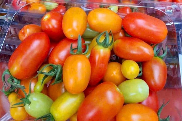 Thực phẩm 'v&agrave;ng' gi&uacute;p ngăn ngừa tế b&agrave;o ung thư ph&aacute;t triển, người Việt n&ecirc;n ăn để k&eacute;o d&agrave;i tuổi thọ - Ảnh 1.