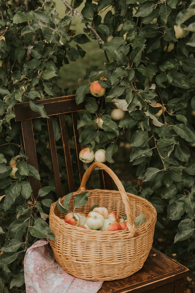 Nh&igrave;n c&aacute;ch phụ nữ &Yacute; sống, nhiều người nhận ra m&igrave;nh đang tự l&agrave;m khổ bản th&acirc;n - Ảnh 2.