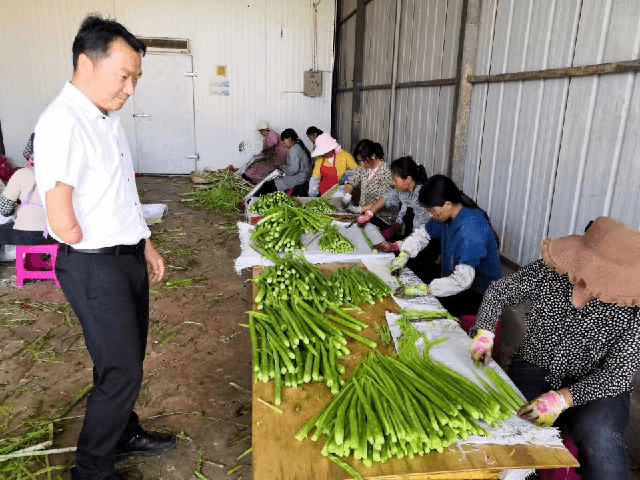 Lộ chiêu thức của người đàn ông sinh năm 1984 bán rau kiếm hơn 37 tỷ đồng/năm - Ảnh 1. Lộ chiêu thức của người đàn ông sinh năm 1984 bán rau kiếm hơn 37 tỷ đồng/năm - Ảnh 1.