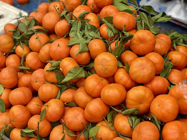 Tiểu thương chia sẻ về một loại cam đang b&aacute;n tr&agrave;n ngập thị trường, được người ti&ecirc;u d&ugrave;ng kh&ocirc;ng tiếc tiền chi - Ảnh 3.