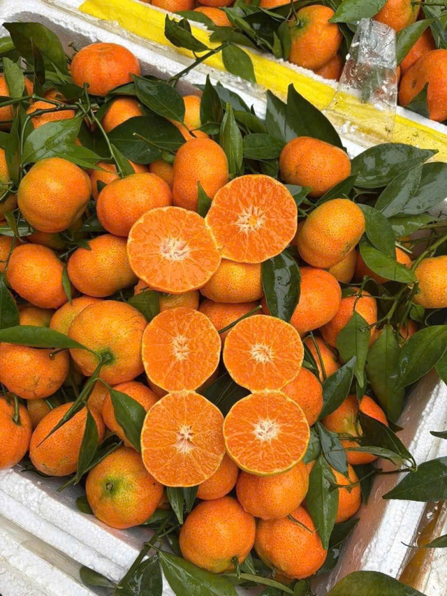 Tiểu thương chia sẻ về một loại cam đang b&aacute;n tr&agrave;n ngập thị trường, được người ti&ecirc;u d&ugrave;ng kh&ocirc;ng tiếc tiền chi - Ảnh 2.