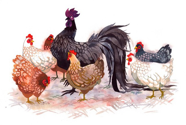 Tử vi 12 con gi&aacute;p năm B&iacute;nh Ngọ: Tổng quan tuổi Dậu 2026 - Ảnh 3.