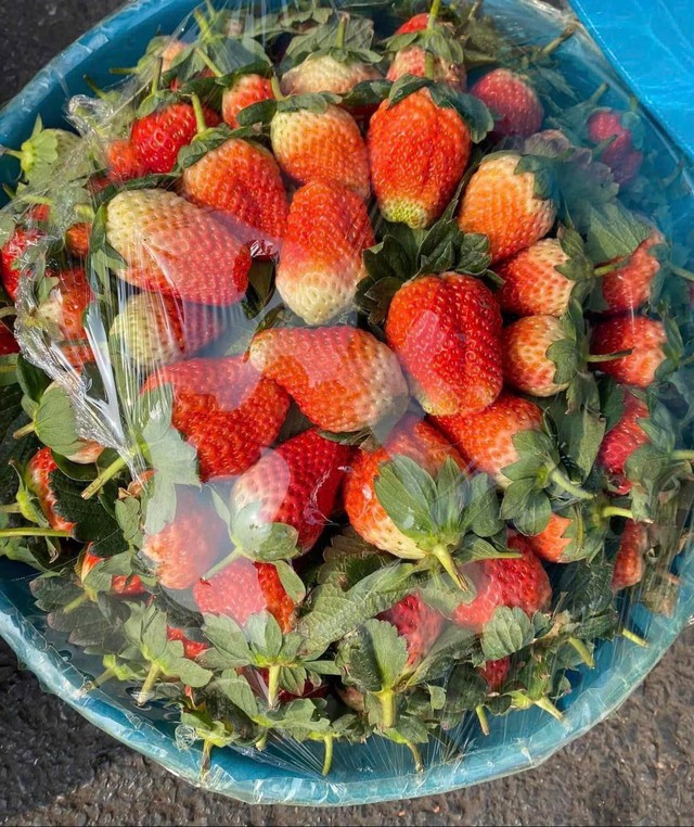 Tiểu thương &ldquo;tiết lộ&rdquo; nguồn gốc của loại d&acirc;u t&acirc;y đang b&aacute;n tr&agrave;n ngập chợ Việt - Ảnh 5.