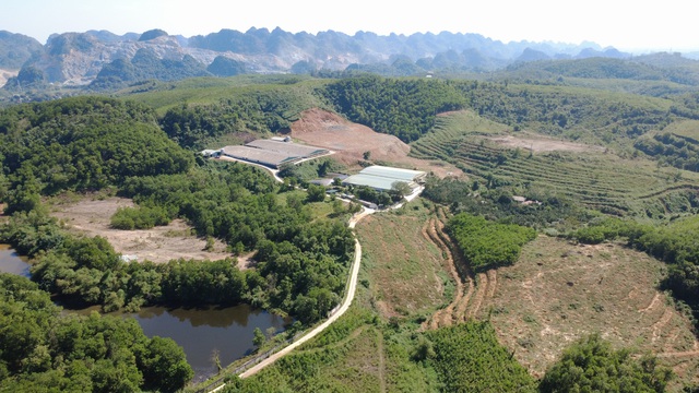 Ph&uacute; Thọ: Những vi phạm tại c&aacute;c trang trại gia c&ocirc;ng cho C.P. nh&igrave;n từ kết quả kiểm tra? - Ảnh 2.