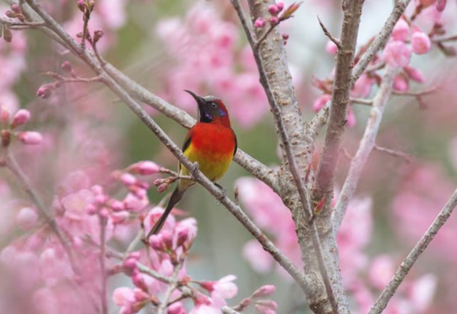 B&iacute; mật số cuối ng&agrave;y sinh &Acirc;m lịch: 4 con số được cho l&agrave; h&uacute;t t&agrave;i lộc mạnh nhất - Ảnh 3.