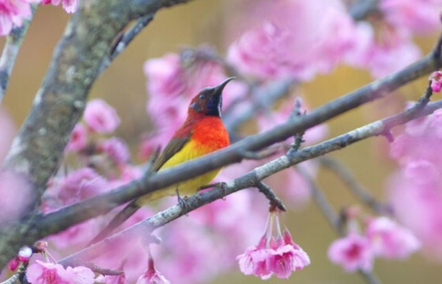 B&iacute; mật số cuối ng&agrave;y sinh &Acirc;m lịch: 4 con số được cho l&agrave; h&uacute;t t&agrave;i lộc mạnh nhất - Ảnh 4.