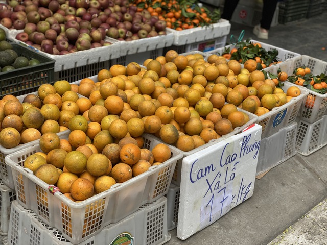 GĐXH - Loại cam này được trồng nhiều tại Việt Nam và được người tiêu dùng ưa chuộng vì vừa ngon, bổ lại có mức giá phải chăng. - Ảnh 3. GĐXH - Loại cam này được trồng nhiều tại Việt Nam và được người tiêu dùng ưa chuộng vì vừa ngon, bổ lại có mức giá phải chăng. - Ảnh 3.