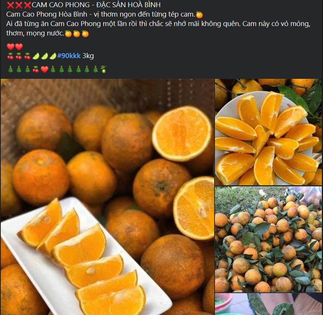 GĐXH - Loại cam này được trồng nhiều tại Việt Nam và được người tiêu dùng ưa chuộng vì vừa ngon, bổ lại có mức giá phải chăng. - Ảnh 2. GĐXH - Loại cam này được trồng nhiều tại Việt Nam và được người tiêu dùng ưa chuộng vì vừa ngon, bổ lại có mức giá phải chăng. - Ảnh 2.