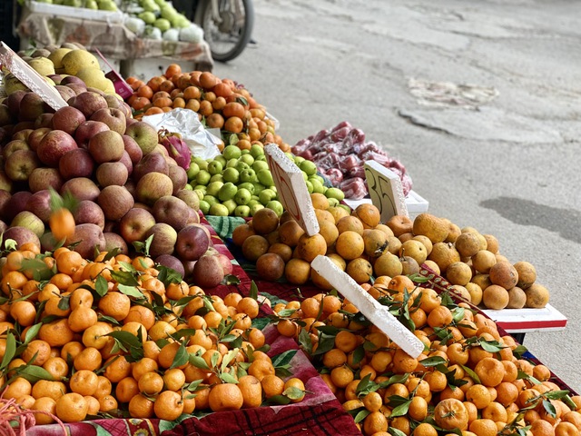 GĐXH - Loại cam này được trồng nhiều tại Việt Nam và được người tiêu dùng ưa chuộng vì vừa ngon, bổ lại có mức giá phải chăng. - Ảnh 1. GĐXH - Loại cam này được trồng nhiều tại Việt Nam và được người tiêu dùng ưa chuộng vì vừa ngon, bổ lại có mức giá phải chăng. - Ảnh 1.